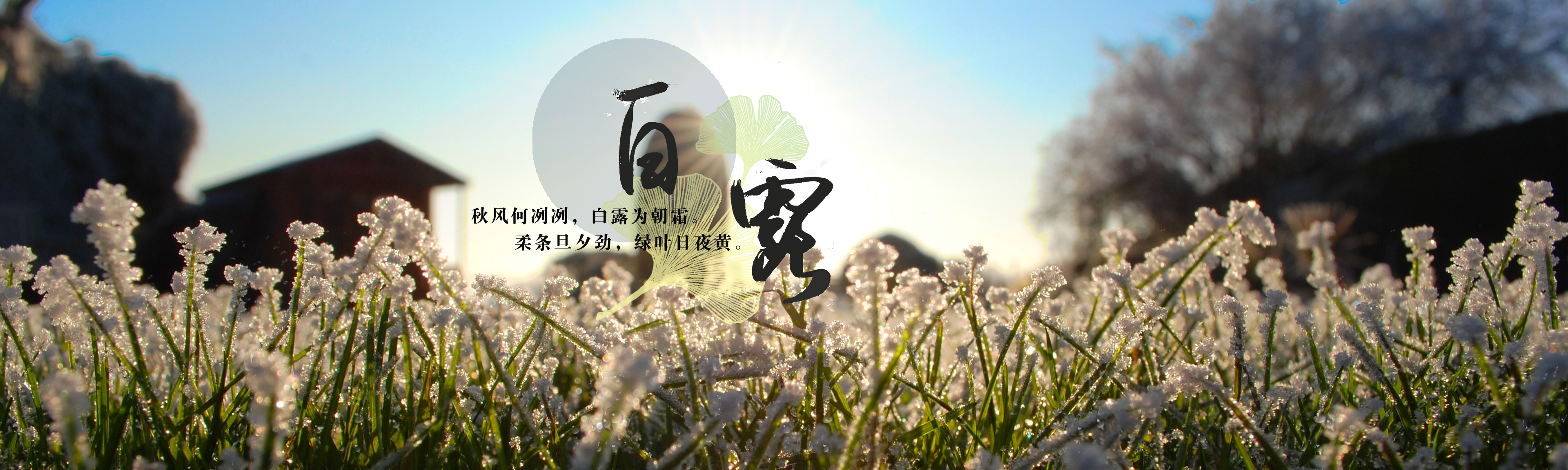 ������k8(�й���)�ٷ���վ